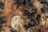 Polished Wanong Dendritic Opal Slab - Western Australia #353283-1